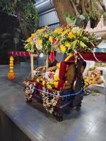 Palaki Utsava (4 Dec 2025)  